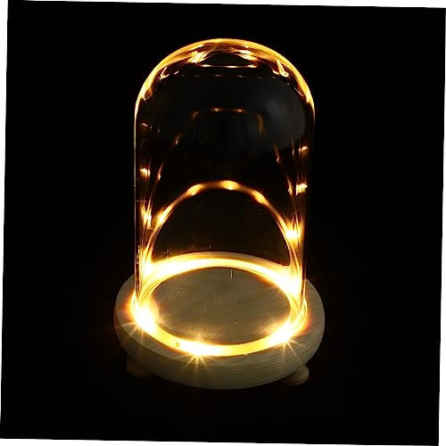 Warmhm Blumendekor Konservierte Blumenabdeckung Glasglocke Blumenschutz Für Home Office