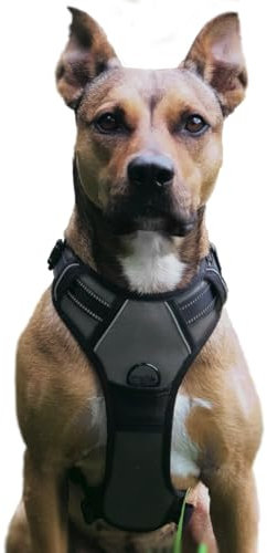 No Pull Hundegeschirr, Verstellbar Atmungsaktiv Reflektierend Weich Gepolstert Hunde Geschirr, Brustgeschirr für Hunde (Grau, L)