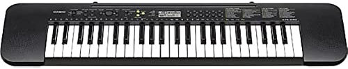 Casio CTK-240 Keyboard mit 49 Standardtasten, schwarz
