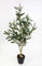 Olivenbaum im Topf 90cm ZF Kunstbaum Kunstpflanzen künstlicher Baum Pflanzen Olive