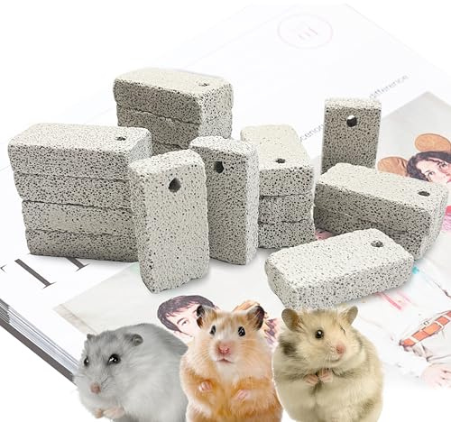 HZJPIN 18 Pcs Small Animal Pet Lava Bites Chews Toy Mineral Calcium Stone Bunny Teeth Grinding Block for Hamster Chinchilla Rabbit Squirrel Rat Parrot Guinea Pig