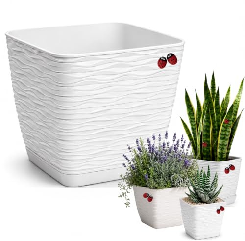 LiveLaif Macetas Decorativas Interior Cuadrada Ø15cm + Plato Integrado | Macetero moderno con Plato Integrado | Macetas plastico, Tiestos para plantas interior y exterior | Resistentes y ligeras