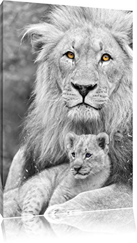 Pixxprint liebevoller Löwe kuschelt B&W, Größe: 80x60cm, Leinwandbild, fertig gespannt, Wandbild, Dekoration, Kunstdruck, kein Poster