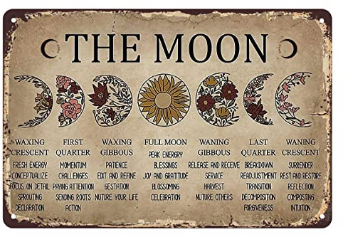 Witchy Geschenke für Frauen The Moon Witch Vintage Poster, Metall Blechschild Hexe Dekor Ästhetisch für Schlafzimmer, Home Store Bar Club Büro Dekor 20x30cm
