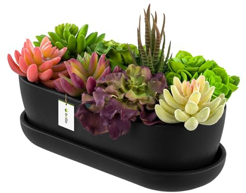 botle Pot de fleurs ovale en céramique noir avec soucoupe - 13 x 27,5 x 8 cm - Surface mate - Moderne et glamour