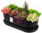 botle Pot de fleurs ovale en céramique noir avec soucoupe - 13 x 27,5 x 8 cm - Surface mate - Moderne et glamour