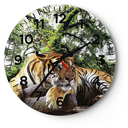 Modern Wanduhr Tiger Dschungel Ruhe 40x40cm Rund Groß Wand Uhr Glas Analog Zimmeruhren Küche Büro Wohnzimmer Glasuhr Wall Clock Dekoration Design Wanddekoration Küchenuhr C4AR40x40-4166