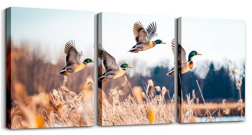 Homewish Mallard Leinwand Bilder Jagd Thema Leinwand Bild Wildente Schilf See Schilfgürtel Druck Wandbilder Wohnzimmer Bauernhaus Jagd-Motiv Pictures für Schlafzimmer Büro Flur 40x30cmx3Pcs