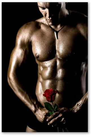 Postereck - 0797 - Mann, Rose, Sixpack Sexy Erotik Muskeln Nackt Akt - Erotisch Sexy Nackt Wandposter Fotoposter Bilder Wandbild Wandbilder - Poster - DIN A2-42,0 cm x 59,4 cm