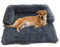 PETCUTE Hundebett Couch für Sofaschutz,Flauschige Hundedecke mit Abnehmbarem Bezug,Hundekissen,Plüsch Hundematte,mit rutschfeste Unterseite,Waschbar Hundesofa Kofferraumschutz