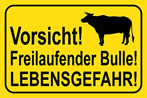 Holzschild 30x40 Vorsicht freilaufender Bulle Lebensgefahr Wahrnung Rind Weide Wand Deko Bar Kneipe Cafe Sammler Geschenk