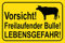 Holzschild 30x40 Vorsicht freilaufender Bulle Lebensgefahr Wahrnung Rind Weide Wand Deko Bar Kneipe Cafe Sammler Geschenk