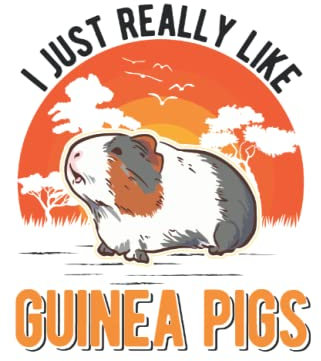 Meerschweinchen Tagesplaner: I just really like Guinea Pigs Meerschweinchen / Kalender 2023 & 2024 / Wochenplaner Tagesplaner Planer / Planungsbuch To-Do-Liste / 6x9 Zoll / 100 ausfüllbare Seiten