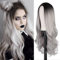 Perücke Damen Perücke Ombre Grau 65cm Lang Wellig Perücken für Frauen Halloween Fasching Kostüme Party Vampir Cosplay Wig VD066A