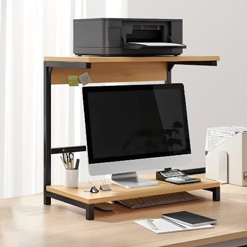 Heavy Duty 2 Tier Laser Printer Stand with Storage Shelf for Home Office Organize Your Printer Fax and Books 48/60x30x55cm