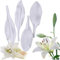 Lot de 4 moules en silicone en relief pour décoration de gâteaux Motif jonquilles et pétales de lys