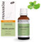 PRANAROM - Menta Piperita Bio - Aceite Esencial - Digestión - AEQT - 30ml