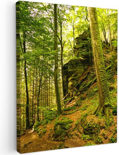 MuchoWow© Bilder 60x80 cm Wohnzimmer Deko Modern Wandbild Foto auf Leinwand Bild Schlafzimmer Room Decor Geschenke Wandbilder Wald - Bäume - Stein - Natur - Pflanzen