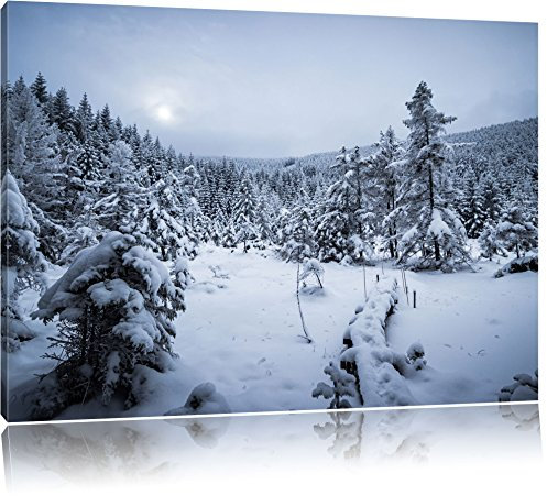 Pixxprint Winterlandschaft vereister See, Größe: 80x60cm, Leinwandbild, fertig gespannt, Wandbild, Dekoration, Kunstdruck, kein Poster