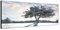 Augenblicke Wandbilder Keilrahmenbild Wandbild 150x50cm Baum Schatten Schnee Winter Wolkenschleier