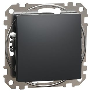 Sedna Design & Elements, Doppel Schukood-Stecker, Schwarz Anthrazit