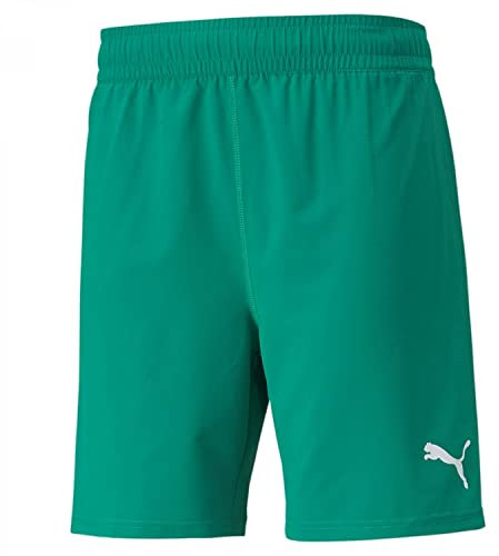 Puma Teamfinal Herren-Shorts