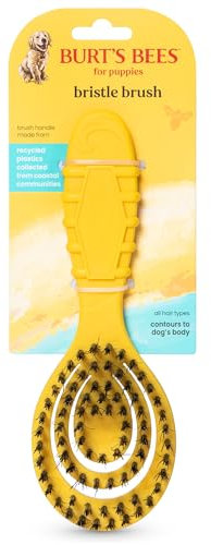 Burt's Bees for Pets Small Bristle Brush with Natural Boar’s Hair & Nylon | Handle Made from Recycled Plastics Collected from Coastal Communities | De-Shedding Eco Friendly Dog Grooming Brush
