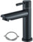 Rozin Kaltwasserhahn Gäste WC Schwarz Wasserhahn Bad Kaltwasserarmatur Kleine Armatur nur Kaltwass Edelstahl Einhebelmischer mit 60cm Anschlussschlauch für Gäste WC Bad