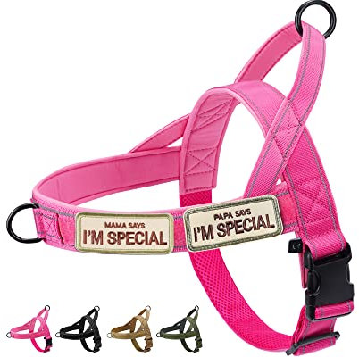 Eeyfarog No Pull Hundegeschirr für kleine mittelgroße Hunde, reflektierend ausbruchsicher verstellbar ohne Zug, Hundegeschirr (Rosa, L)