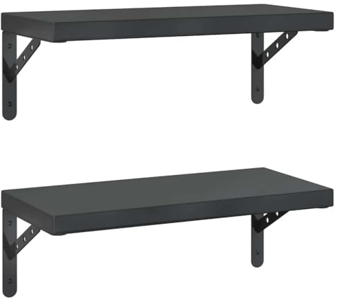 vidaXL Wandregale 2 STK. 50x23,5 cm Schwarz Edelstahl