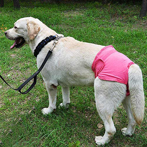 Waschbare Hundewindeln - Robuste und Wiederverwendbare Schutzhose für Hündinnen und Welpen aus Baumwolle mit Magictape (rosa M)