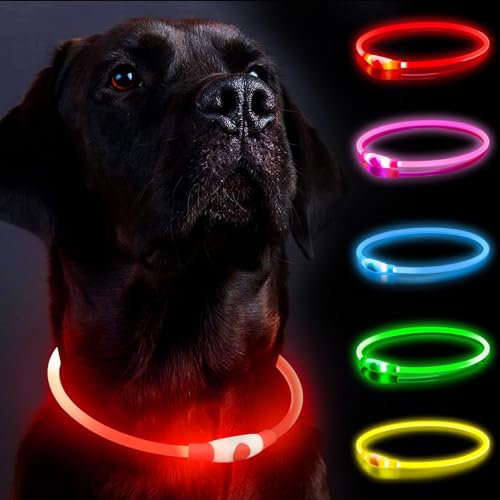 Light Up Dog Collar for The Dark, Dog Collar Light with USB Rechargeable, Led Dog Collar, Adjustable Flashing Puppy Collars with Three Light Modes, Basic Collar (Red)