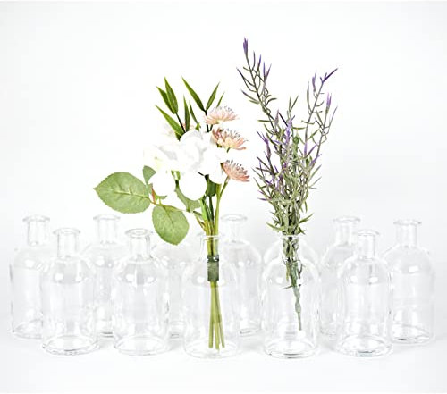 gouveo Lot de 12 vases en verre Apo 100 - Vases à fleurs ronds en verre - Petits vases décoratifs pour la maison, les mariages, les anniversaires, les fêtes Transparent