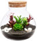 LOORGVEL Botella para Micro para Decoración y Almacenamiento Jarrón Transparente para Terrarios y Plantas Sin Luz