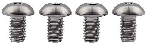 Ruifu Schraubenset für Wasserflaschenhalter aus Titanlegierung, M5 x 8, 10 und 12 Schrauben für Fahrrad, Mountainbike, 4 Stück (Titan, M5 x 8 mm)