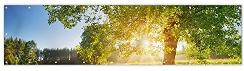 MuchoWow® Balkon Sichtschutz Sichtschutzmatte Balkonbanner Abdeckung für Terrasse Balkon Windschutz Blickdicht Wetterfest 300x75 cm Sommer - Baum - Landschaft - Sonnenaufgang