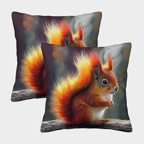 ENYISIYULO Dekokissen Kissenbezüge Eichhörnchen 2er-Set Modern Dekokissen Kissenbezüge Cute Eichhörnchen Zierkissenbezüge Kissen Für Sofa Sessel Zuhause Auto Schlafzimmer 50x50cm