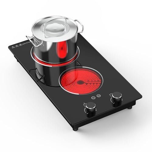 Induktionskochfeld mit 2 Kochfeldern, doppeltes Kochfeld, flache Induktion, 3000 W, 10 Temperaturen und Leistungsstufen, 2-Stunden-Timer, für jeden flachen Ofen