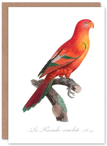 Artery8 Francois Levaillant Art Card The Crimson Shining Parrot