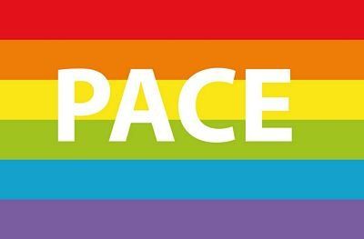 Autoaufkleber Sticker Fahne Regenbogen Pace Aufkleber