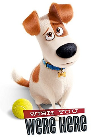 The Secret Life Of Pets Wish You were Here- Maxi- Poster, Holz, Mehrfarbig