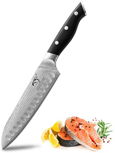 Santoku Knife 7 inch, Professional Chef's Knife Forged with Japanese VG10 Super Steel 67-Layer Damascus, Non-Slip ABS Ergonomic Handle, Razor Sharp Lightweight Multipurpose Full Tang Gift Box