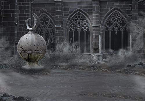 wandmotiv24 Fototapete Mittelalter Mystisch Schloss, 200 x 140cm - selbstklebende Vliestapete 150g, Wanddeko, Wandbild, Wandtapete, Burg, Antik, Nebel M0771