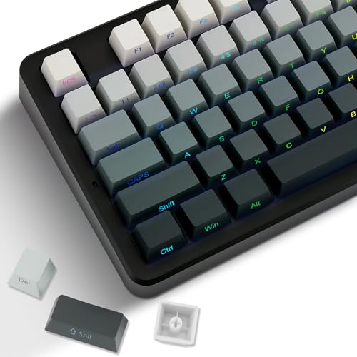 LAGWKX Double Shot PBT Keycaps Set 133 Keys, Shine Through Side Printed Keycaps, Cherry Profile Custom Key caps for Mechanical Keyboards (60%, 65%, 75%, 80%, 100%) (Black and White Gradient)