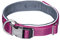 Nobby Halsband Classic Preno Royal, himbeere L: 28-34 cm, B: 15/20 mm, 1 Stück