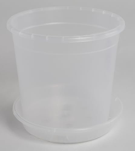 Vaso per orchidee trasparente con sottovaso abbinato, disponibile in diverse misure, colore: trasparente, diametro: 12 cm
