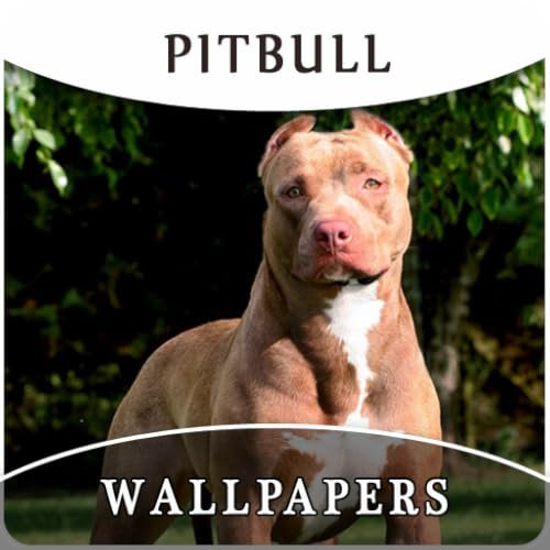 Pitbull Dog Wallpapers And Background