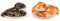 Zappi Co Kinder Kuschelweiches Plüschtier - Perfekte kuschelige Spielgefährten für Kinder Geburtstage und besondere Anlässe(12-15cm) (Anaconda + Python)