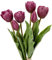 Oairse 4 Tulpen und 2 Tulpenknospen Kunstblumen Echtes Gefühl, künstliche Latex-Tulpen, Blumensträuße, Tischarrangements, Geschenk für Zuhause, Büro, Party, Hochzeit, Geburtstag, Garten, Violett