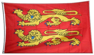 Digni® Drapeau France Basse Normandie, p'tits Cats 90 x 150 cm